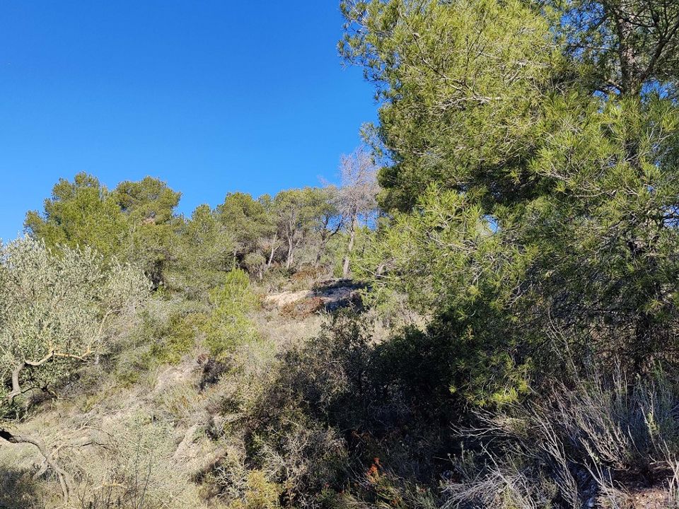 Plot of land for sale in Mora D'ebre, Tarragona province € 28,000